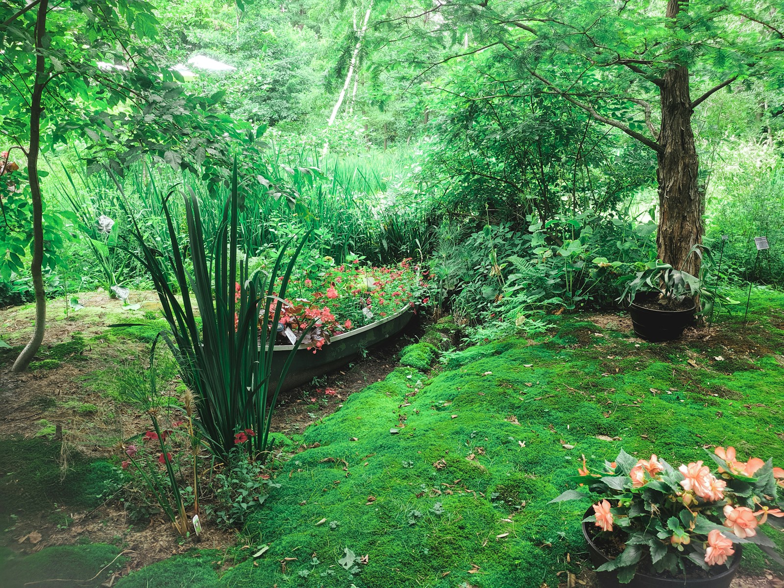 Inspiratie met felgroene beplanting