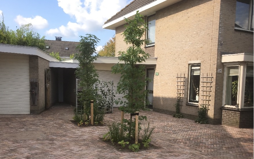 Groene tuin van MB Hoveniers